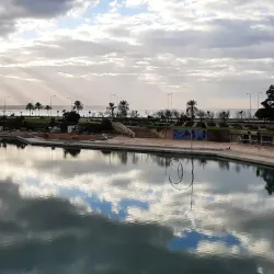 Parc de la Mar - Palma de Mallorca