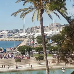 Paseo Marítimo - Palma de Mallorca