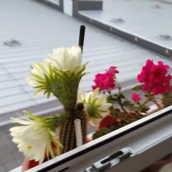 Mercado de Abastos de Ponferrada - Ponferrada