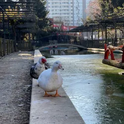 Parque de El Plantío - Ponferrada