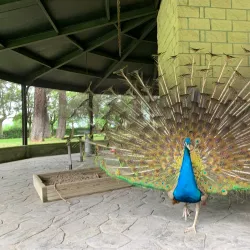 Parque de El Plantío - Ponferrada