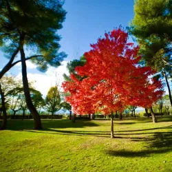 Parque de El Plantío - Ponferrada