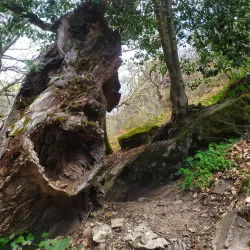 Ruta de las Fuentes - Ponferrada