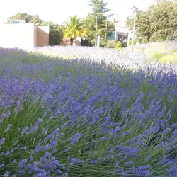 Centro Cultural Volturno - Pozuelo de Alarcon