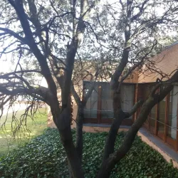 Centro Cultural Volturno - Pozuelo de Alarcon