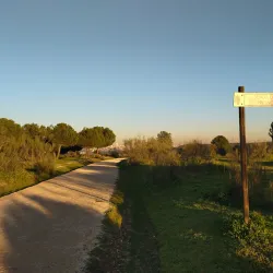Parque Forestal Adolfo Suárez - Pozuelo de Alarcon