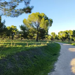 Parque Forestal de Somosaguas - Pozuelo de Alarcon