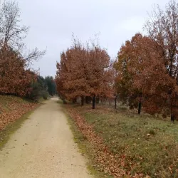 Parque Forestal de Somosaguas - Pozuelo de Alarcon
