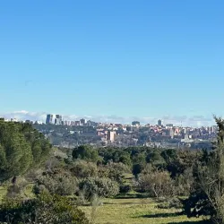 Parque Forestal de Somosaguas - Pozuelo de Alarcon