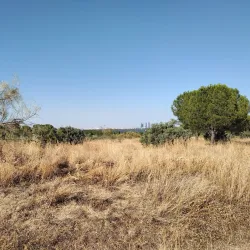 Parque Forestal de Somosaguas - Pozuelo de Alarcon