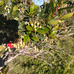 Parque Forestal de Somosaguas - Pozuelo de Alarcon
