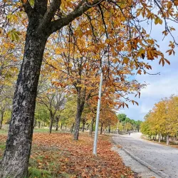 Parque Forestal de Somosaguas - Pozuelo de Alarcon