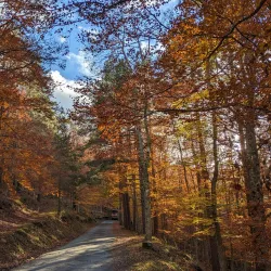 Natural Surroundings and Countryside Walks - Pradejón