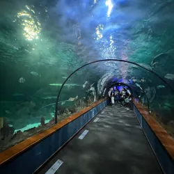 Loro Parque - Puerto de la Cruz