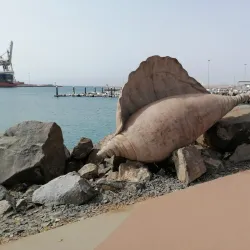 Mercado Municipal - Puerto del Rosario