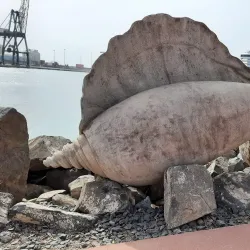 Mercado Municipal - Puerto del Rosario
