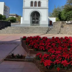 Mercado Municipal - Puerto del Rosario