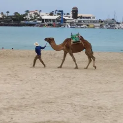 Paseo Marítimo - Puerto del Rosario