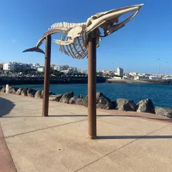 Playa Chica - Puerto del Rosario