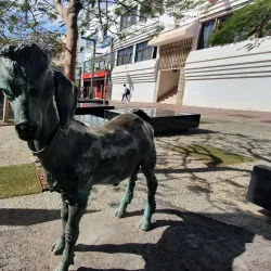 Puerto del Rosario Harbor - Puerto del Rosario