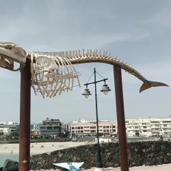 Puerto del Rosario Harbor - Puerto del Rosario