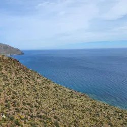 Mirador de las Amatistas - Puerto Rico