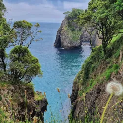 Cueva del Pindal - Ribadesella