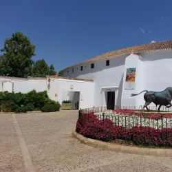 Plaza de Toros de Ronda - Ronda