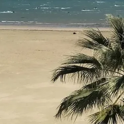 Mercado Municipal de Rota - Rota