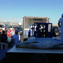 Museo Histórico Municipal de Rota - Rota
