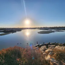 Parque Natural de la Bahía de Cádiz - Rota