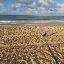 Playa de la Costilla - Rota