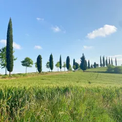 Parc de Ca n'Oriol - Rubí