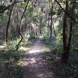 Parc de la Natura de Rubí - Rubí