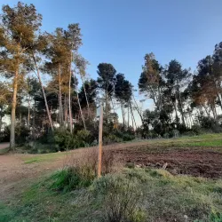 Can Deu Park - Sabadell