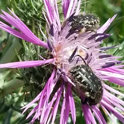 Can Deu Park - Sabadell