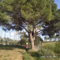 Can Deu Park - Sabadell