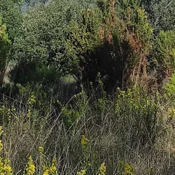 Can Deu Park - Sabadell