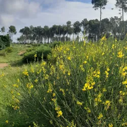 Can Deu Park - Sabadell