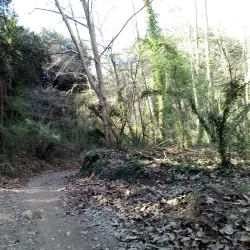 Can Deu Park - Sabadell