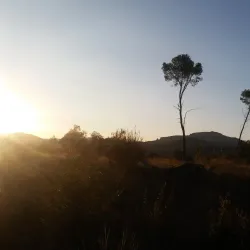 Can Deu Park - Sabadell