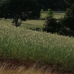 Can Deu Park - Sabadell