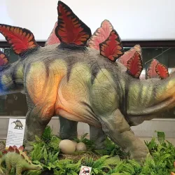 La Fira Sabadell - Sabadell