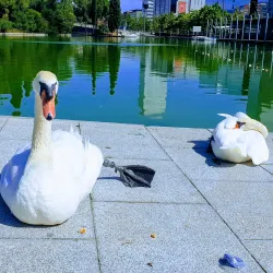 Parc Catalunya - Sabadell
