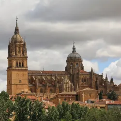 New Cathedral of Salamanca (Catedral Nueva) - Salamanca