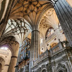 New Cathedral of Salamanca (Catedral Nueva) - Salamanca