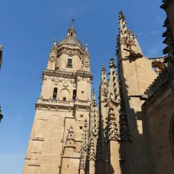 New Cathedral of Salamanca (Catedral Nueva) - Salamanca