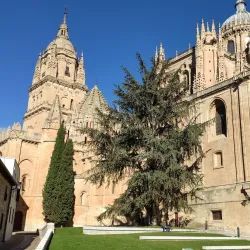 New Cathedral of Salamanca (Catedral Nueva) - Salamanca
