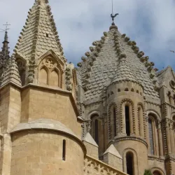 Old Cathedral of Salamanca (Catedral Vieja) - Salamanca