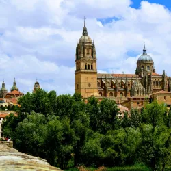 Old Cathedral of Salamanca (Catedral Vieja) - Salamanca
